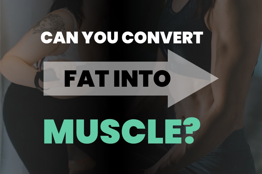 Can You Convert Fat Into Muscle
